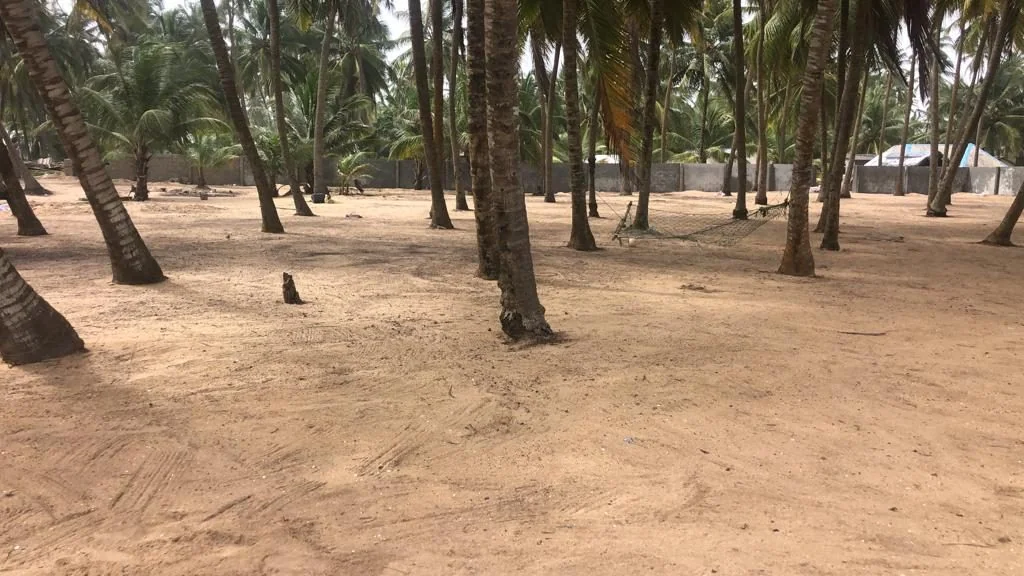 The Villas at Waikiki site among palms with the boundary in place