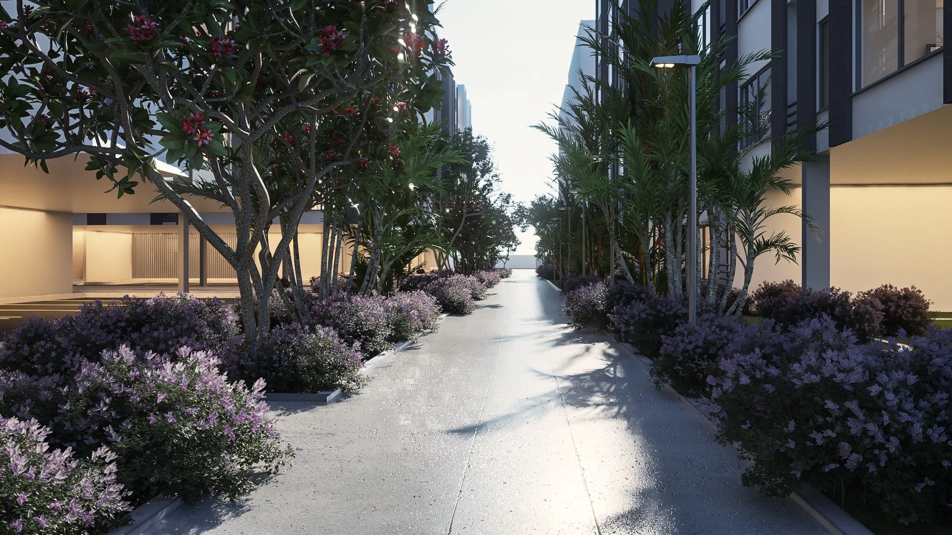A paved garden path lined with flowering shrubs and palms between two apartment blocks